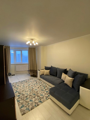 Сдам однокомнатную (1-комн.) квартиру, Стародеревенская ул, 33/10В, Санкт-Петербург г