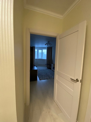 Сдам однокомнатную (1-комн.) квартиру, Стародеревенская ул, 33/10В, Санкт-Петербург г