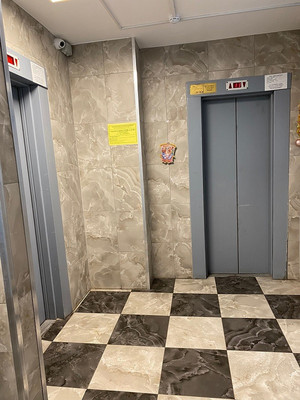 Сдам однокомнатную (1-комн.) квартиру, Стародеревенская ул, 33/10В, Санкт-Петербург г