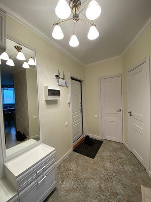 Сдам однокомнатную (1-комн.) квартиру, Стародеревенская ул, 33/10В, Санкт-Петербург г