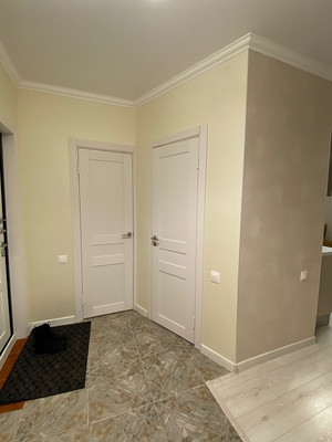 Сдам однокомнатную (1-комн.) квартиру, Стародеревенская ул, 33/10В, Санкт-Петербург г