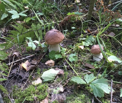 Продам дом, Вельяминово с, 0 км от города