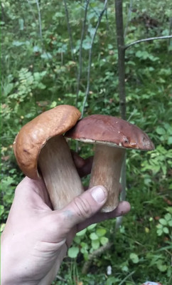 Продам дом, Вельяминово с, 0 км от города