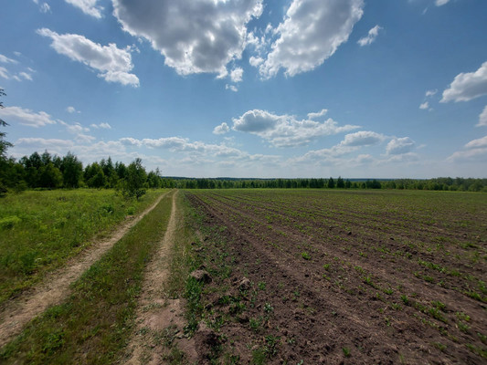 Продам участок 1 700 соток, Фермерское хоз., Никитино д, 0 км от города