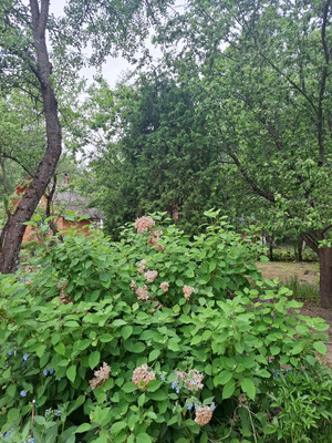 Продам дом, СНТ Пахра тер, Дровнино д, 0 км от города