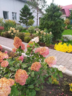 Продам коттедж, Майская ул, 16, Емельяново пгт, 0 км от города