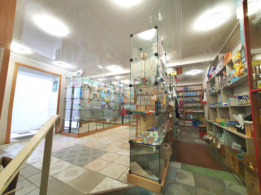 Сдам коммерческое помещение 90 м2, Архангельская ул, 9, Липецк г