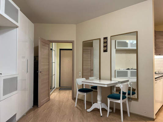 Сдам однокомнатную (1-комн.) квартиру, Оптиков ул, 34Ак1, Санкт-Петербург г