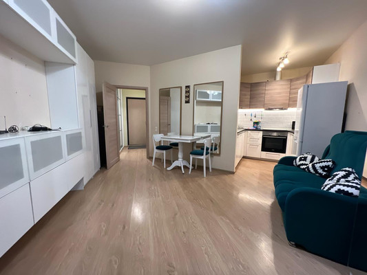 Сдам однокомнатную (1-комн.) квартиру, Оптиков ул, 34Ак1, Санкт-Петербург г