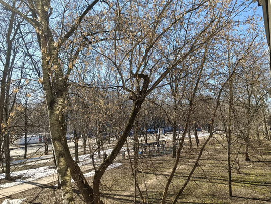 Сдам двухкомнатную (2-комн.) квартиру, Байкальская ул, 43, Москва г