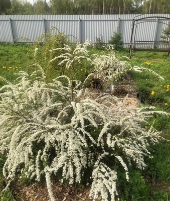 Продам дачу, квартал Дмитровский тер, 0 км от города