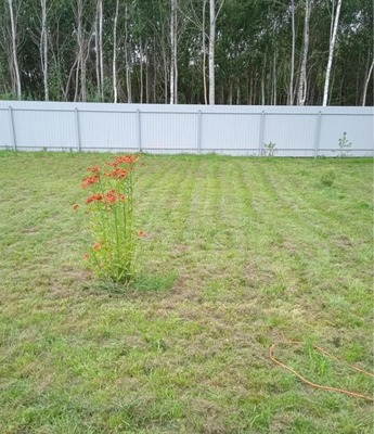 Продам дачу, квартал Дмитровский тер, 0 км от города