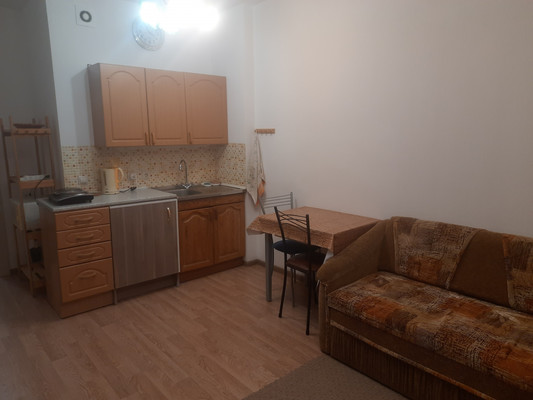 Сдам однокомнатную (1-комн.) квартиру, Ветеранов пр-кт, 171к4, Санкт-Петербург г