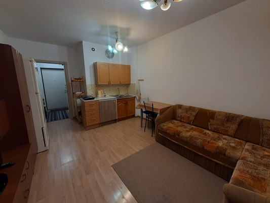 Сдам однокомнатную (1-комн.) квартиру, Ветеранов пр-кт, 171к4, Санкт-Петербург г