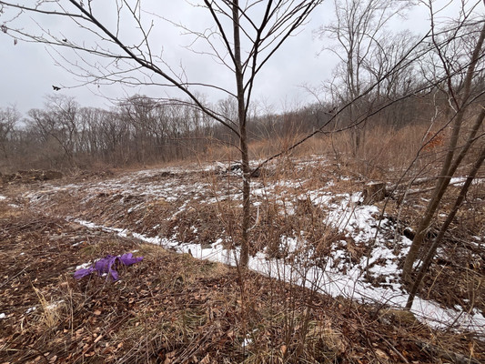 Продам участок 20 соток, ИЖС, 69 км м, Фокино г, 0 км от города