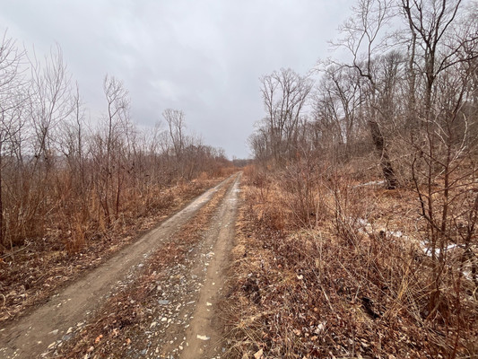 Продам участок 20 соток, ИЖС, 69 км м, Фокино г, 0 км от города