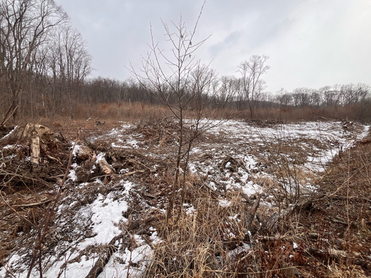 Продам участок 20 соток, ИЖС, 69 км м, Фокино г, 0 км от города