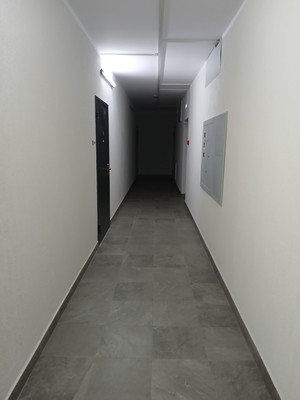 Продам однокомнатную (1-комн.) квартиру, Лесников ул, 53, Красноярск г