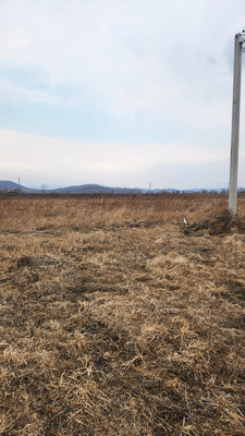 Продам участок 15,5 соток, ИЖС, Черняховского ул, 17, Новолитовск с, 0 км от города