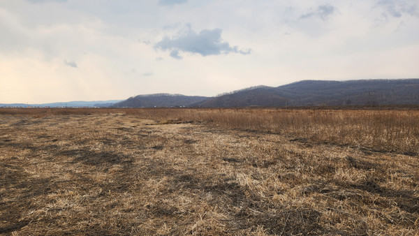 Продам участок 15,5 соток, ИЖС, Черняховского ул, 17, Новолитовск с, 0 км от города