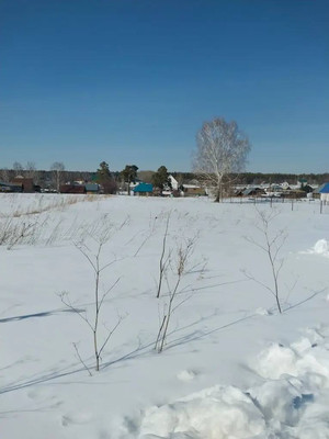 Продам участок 10 соток, ИЖС, Весенняя ул, Мохнатушка п, 0 км от города