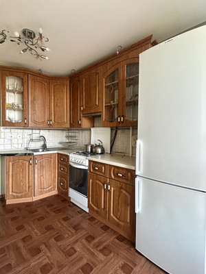 Сдам однокомнатную (1-комн.) квартиру, Культуры пр-кт, 16к2, Санкт-Петербург г