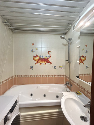 Сдам однокомнатную (1-комн.) квартиру, Культуры пр-кт, 16к2, Санкт-Петербург г