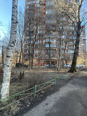 Сдам однокомнатную (1-комн.) квартиру, Культуры пр-кт, 16к2, Санкт-Петербург г