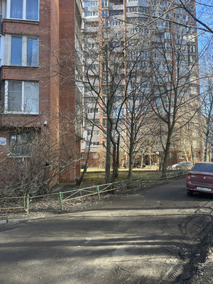 Сдам однокомнатную (1-комн.) квартиру, Культуры пр-кт, 16к2, Санкт-Петербург г