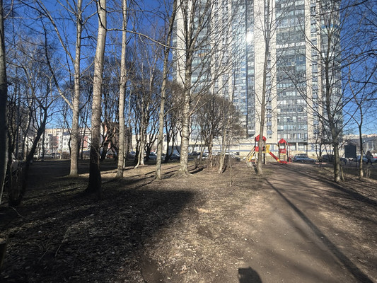 Сдам однокомнатную (1-комн.) квартиру, Культуры пр-кт, 16к2, Санкт-Петербург г