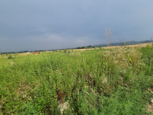 Продам участок 6 соток, ИЖС, ОДС ул, 125, Нальчик г, 0 км от города