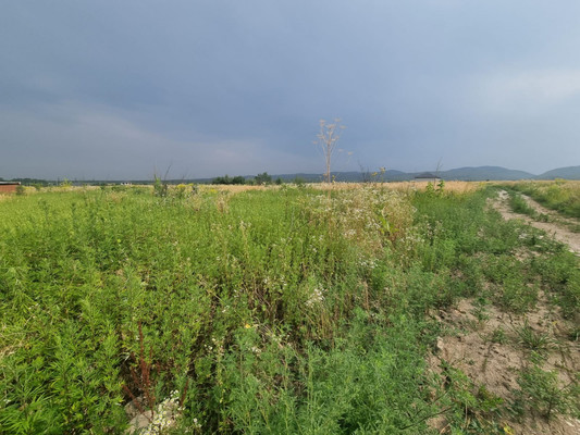 Продам участок 6 соток, ИЖС, ОДС ул, 125, Нальчик г, 0 км от города