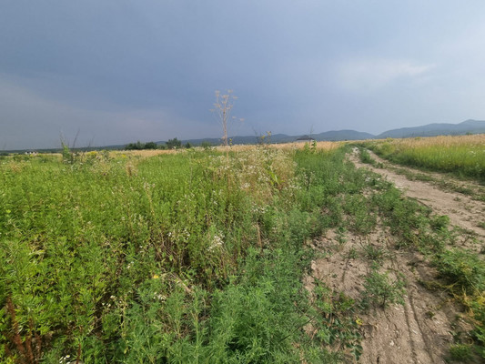 Продам участок 6 соток, ИЖС, ОДС ул, 125, Нальчик г, 0 км от города