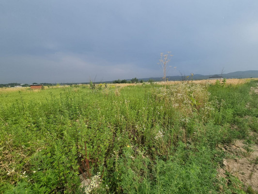 Продам участок 6 соток, ИЖС, ОДС ул, 125, Нальчик г, 0 км от города