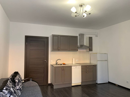 Сдам однокомнатную (1-комн.) квартиру, Генерала Кравченко ул, 7к1, Санкт-Петербург г