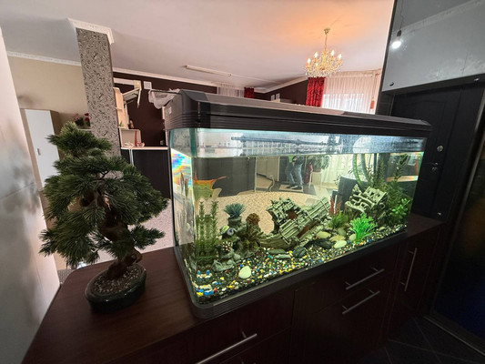 Продам дом, Тихий пер, 1а, Цибанобалка с, 0 км от города