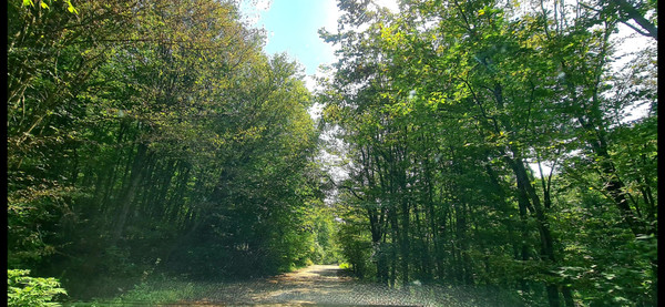 Продам дачу, Возрождение с, 0 км от города