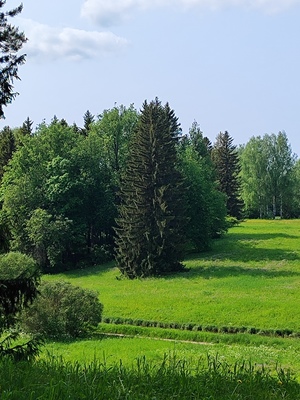 Продам участок 70,05 соток, ЛПХ, Буриново д, 80 км от города