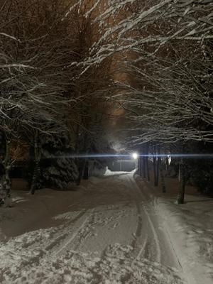 Продам коммерческое помещение 500 м2, Имени К. И. Вороницына ул, 1, Химки г