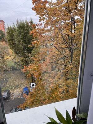 Продам однокомнатную (1-комн.) квартиру, Кленовый б-р, 19к1, Москва г