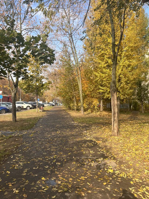 Продам однокомнатную (1-комн.) квартиру, Кленовый б-р, 19к1, Москва г