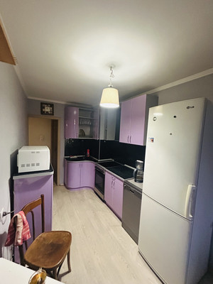 Сдам однокомнатную (1-комн.) квартиру, Искровский пр-кт, 8к2, Санкт-Петербург г