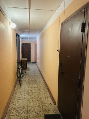 Сдам однокомнатную (1-комн.) квартиру, Искровский пр-кт, 8к2, Санкт-Петербург г