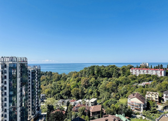 Продам однокомнатную (1-комн.) квартиру, Санаторная (Лицейский снт) ул, 49к19А, Сочи г