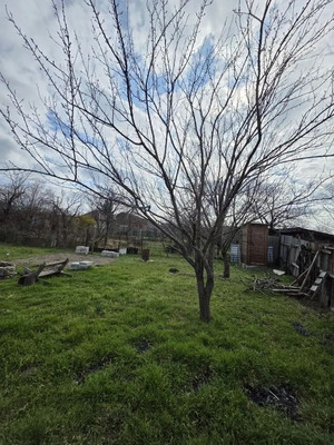 Продам участок 6,43 соток, Фермерское хоз., Луч снт, Армавир г, 0 км от города