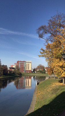 Продам однокомнатную (1-комн.) квартиру, Тихая ул, 16в, Калининград г