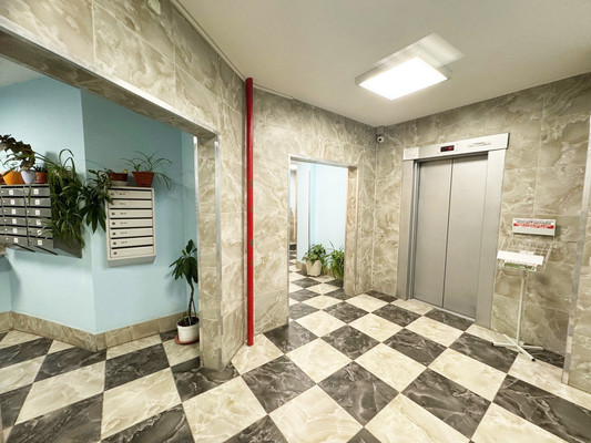 Сдам однокомнатную (1-комн.) квартиру, Ильюшина ул, 8, Санкт-Петербург г