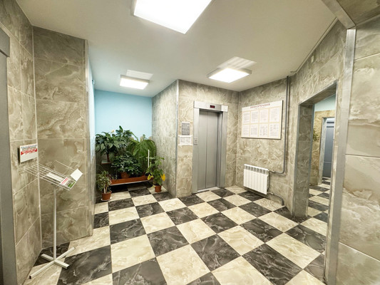 Сдам однокомнатную (1-комн.) квартиру, Ильюшина ул, 8, Санкт-Петербург г