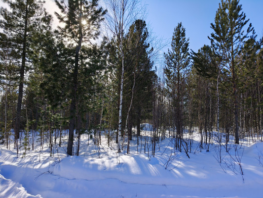 Продам участок 14,01 соток, Фермерское хоз., СОТ Учитель-3 17 км автодороги Х-М-Т снт, Ханты-Мансийск г, 0 км от города