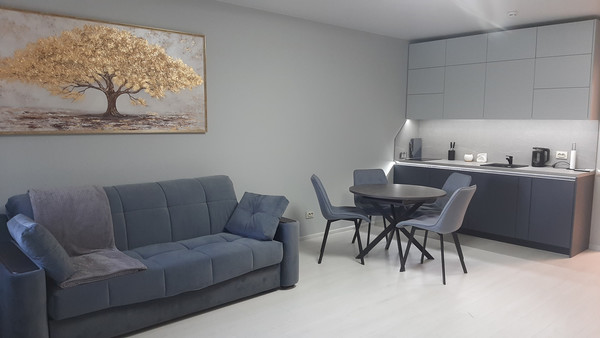 Сдам однокомнатную (1-комн.) квартиру, Средний В.О. пр-кт, 87к3, Санкт-Петербург г